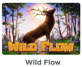 Habanero's Wild Flow Slot: Abundant Profits in a Wilderness Full of Surprises! 🌿💰